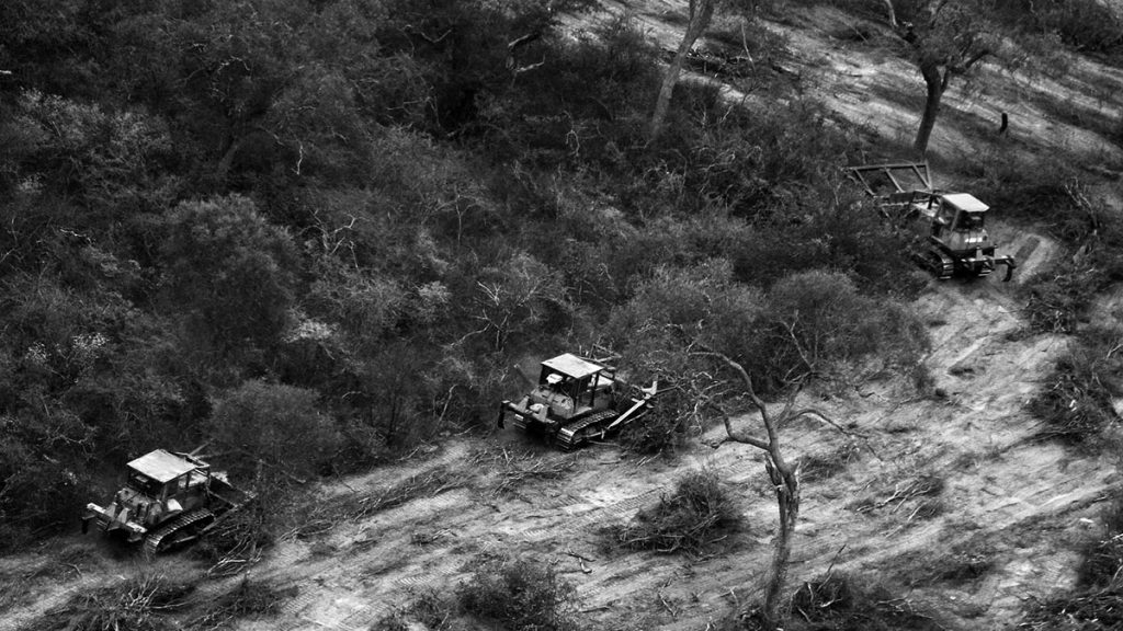 bosque nativo portada soja agronegociocosecha cordoba ley topadora desmonte 3 Constructora