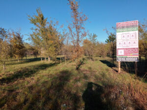 1219 e 7 Lotes en Venta en Villa Galicia, Los Reartes / 1219