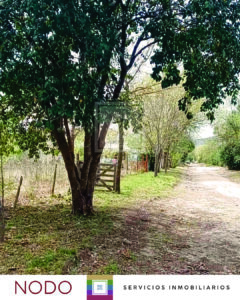 1226 02 Lote en Venta en Villa Ciudad Parque / 1226